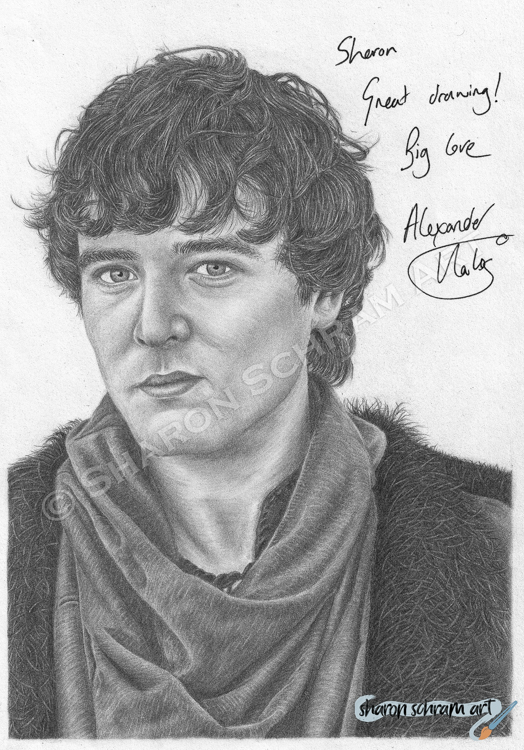 Alexander Vlahos 2014